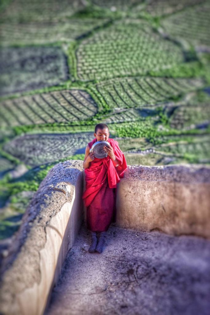 Monk enjoying breakfast