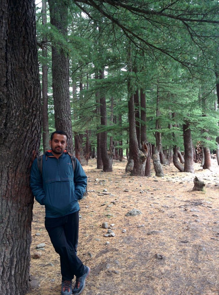 Meadows @Sangla Valley